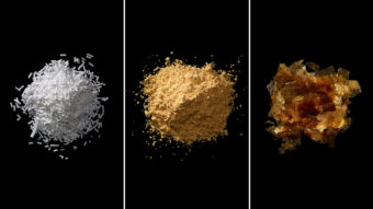From left: Sodium benzoate, azodicarbonamide, shellac. The images are from Ingredients: A Visual Exploration of 75 Additives & 25 Food Products. Dwight Eschliman/Regan Arts