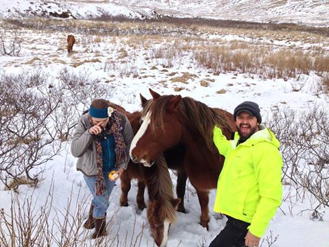 Keith Davis and a friend with Unalaska Island's wild horses in 2013. (Photo courtesy of Lynn Goodman)