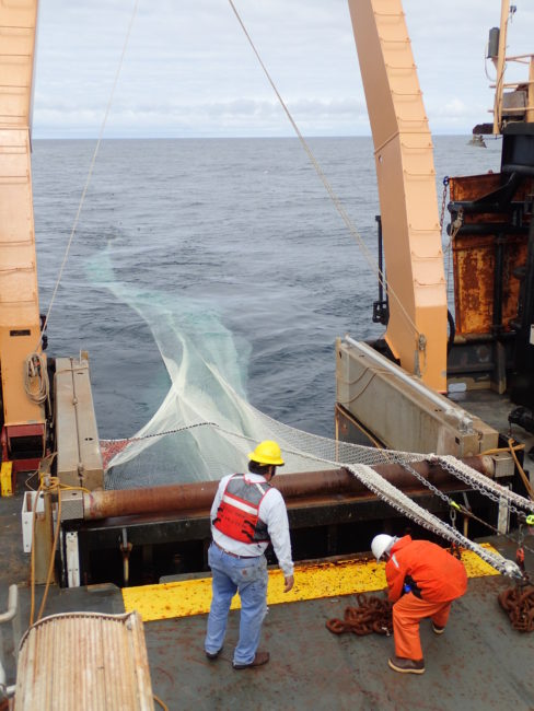 Deploying fishing net aboard Oscar Dyson