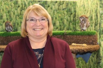 The Alaska Raptor Center’s office pal, Tootsie, a saw-whet owl, eyes departing executive director Debbie Reeder. After 13 with the organization, Reeder is leaving her perch. (Photo by Brielle Schaeffer, KCAW)