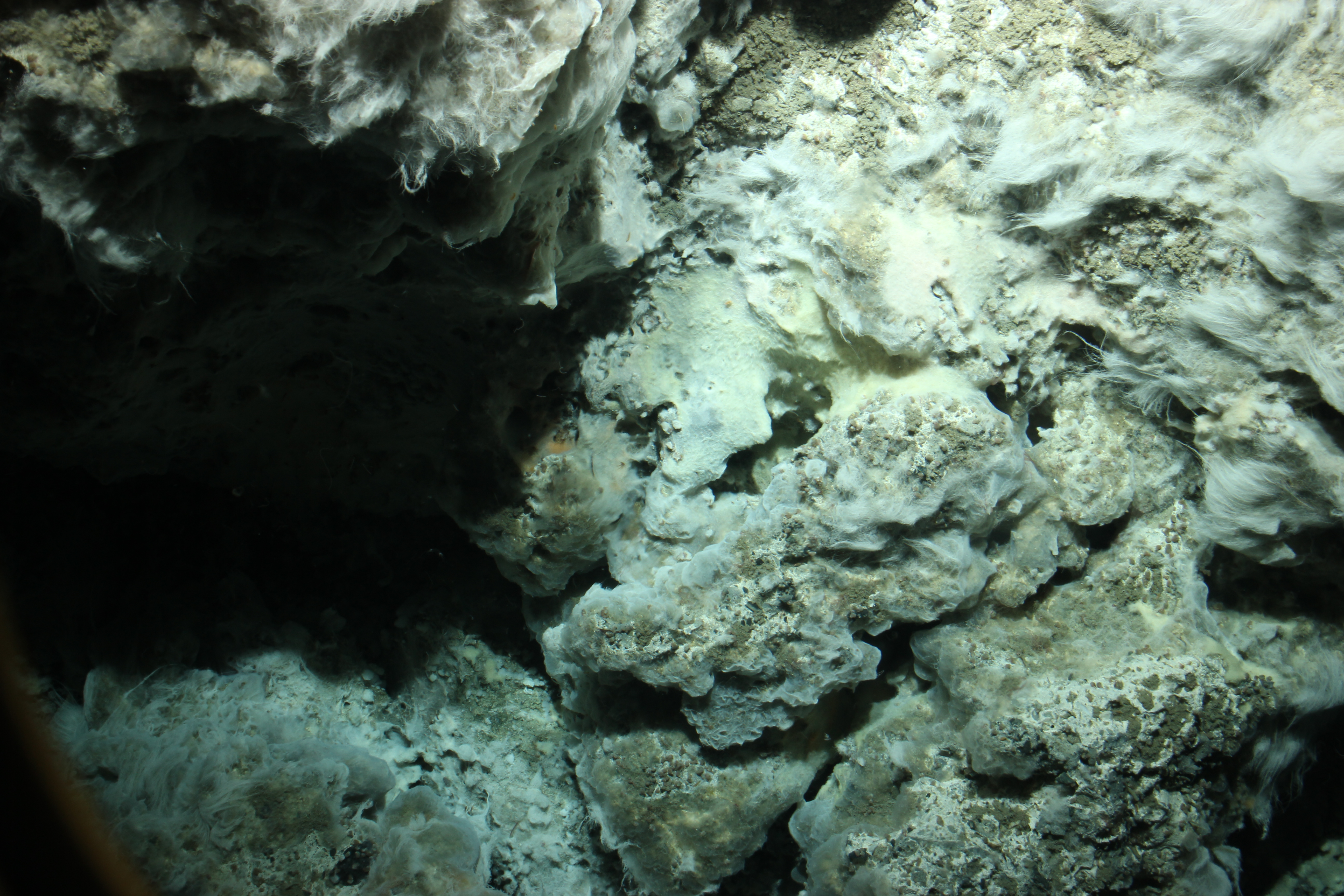 This photo taken under 3,000 feet of water shows the newly-found volcano's vent. Thread-like bacteria and minerals precipitating out of solution are visible. (Photo courtesy Stuart Nishenko)