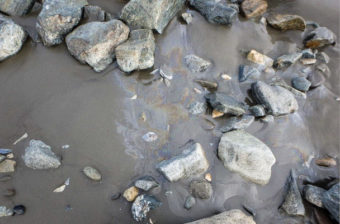 Oil sheen on Shishmaref coastline