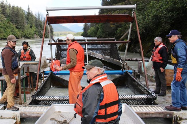B.C. Mines Minister Bill Bennett,center, Lt. Gov. Byron Mallott, center right, and Fish and Game Commissioner Sam Cotton, right, visit a Taku River fish wheel in Augst, after ab stop at the Tulsequah Chief Mine. (Photo courtesy lieutenant governor's office)