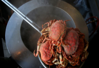 Freshly cooked Dungeness crab sits on a pot of boiling water at Nick's Lighthouse Restaurant in San Francisco, Nov. 5, 2015. Justin Sullivan/Getty Images