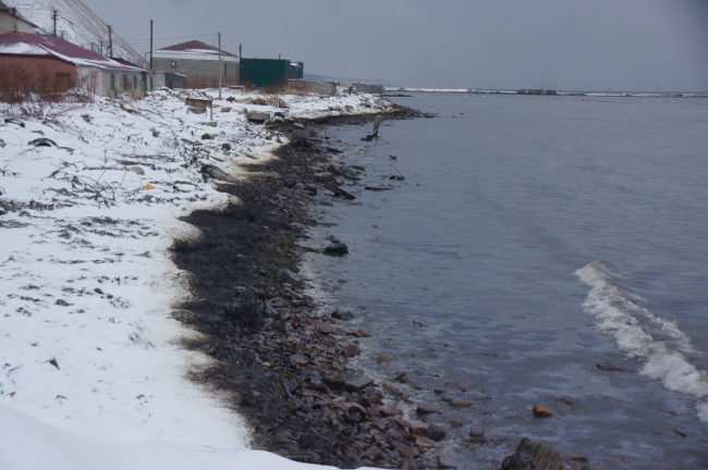 Sakhalin’s oiled coastline. (Photo courtesy of Sakhalin Watch and Club Boomerang)