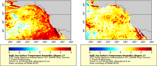 SST anomalies Pacific Nov.-Dec. 2015