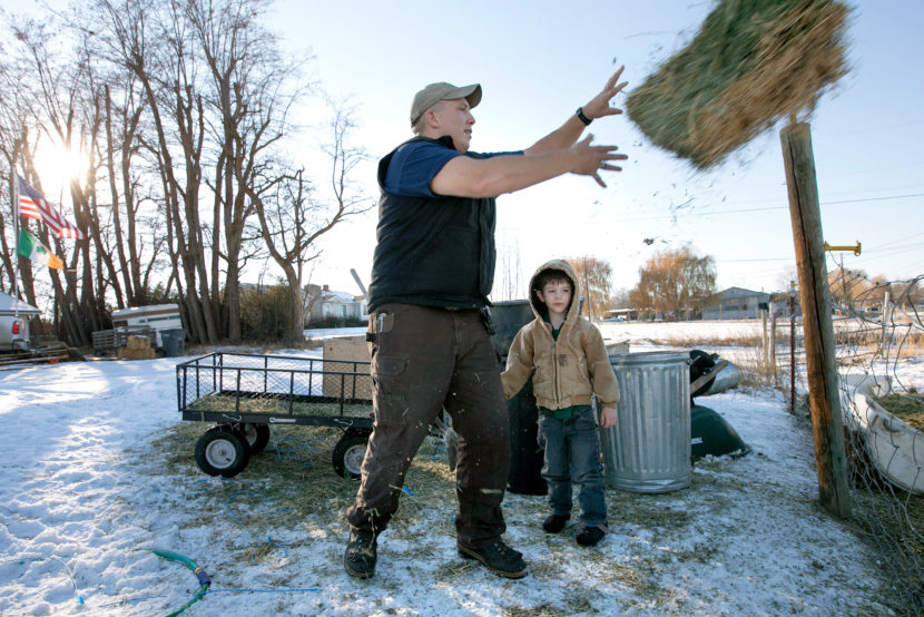 Clay Hull, along with his 4-year-old son William, feeds the cows on his 3-acre farm in Selah, Wash. After Hull was incarcerated for 18 months, the Department of Veterans Affairs sent him a bill for $38,000 in benefits it says he wrongly received. Gordon King for NPR