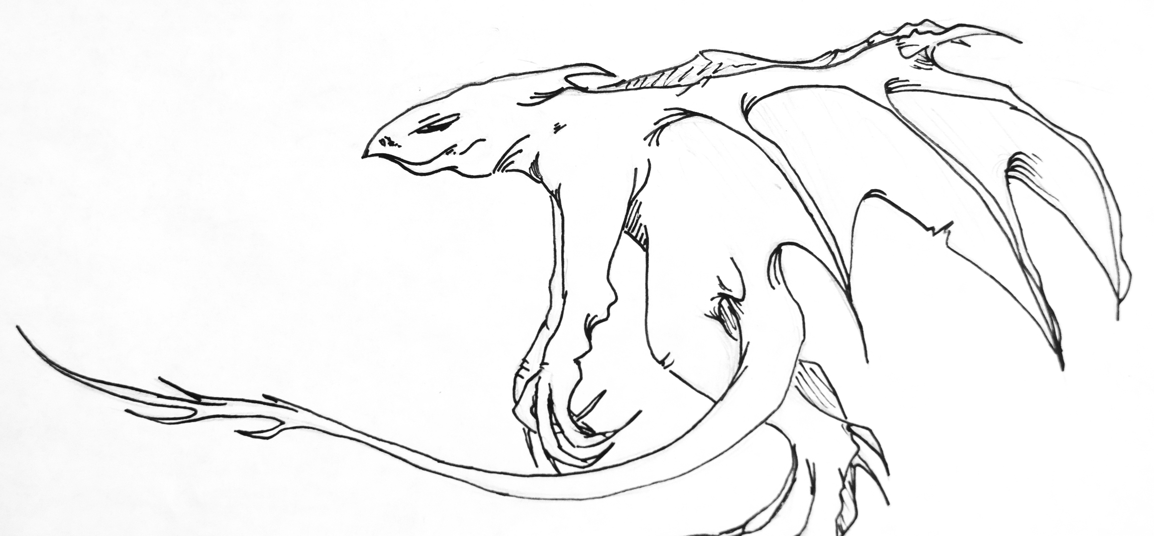 An original creature drawn by 13-year-old artist Ambrose Bucy. (Photo by Annie Bartholomew/KTOO)