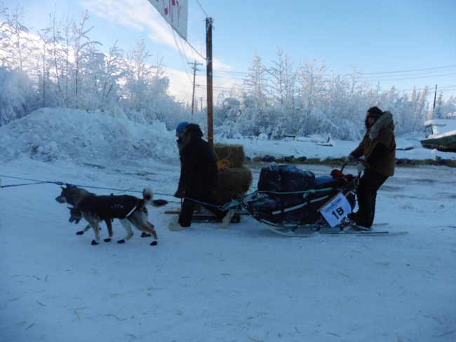 Sass leads Yukon Quest mushers out of Eagle
