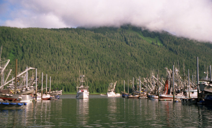 Petersburg's fishing fleet, Sept. 12, 2006. (Creative Commons photo by anoldent)
