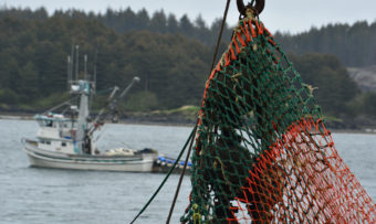 Salmon opener in Kodiak commercial fishing gear