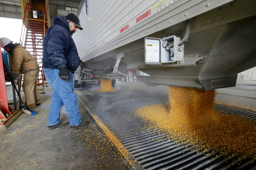 Corn is delivered to the Green Plains ethanol plant in Shenandoah, Iowa. (Nati Harnik/AP)