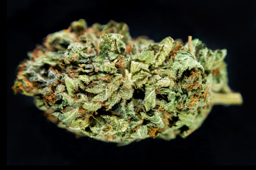 The psychoactive ingredient in marijuana is a fat-soluble compound called THC. (iStockphoto)