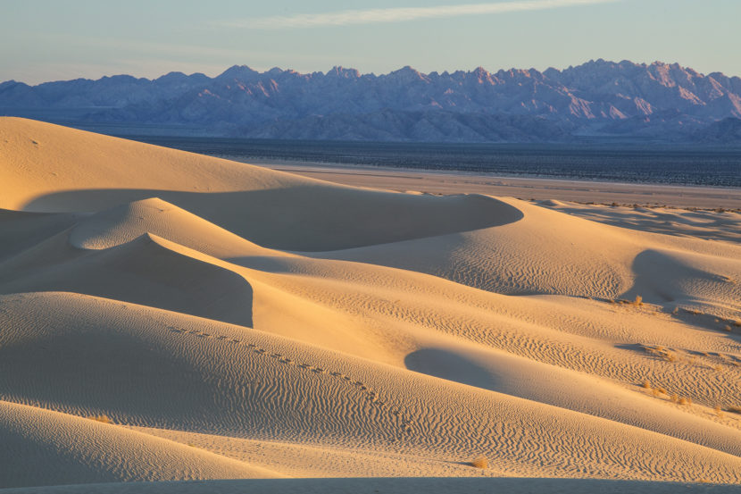 The Mojave Trails National Monument is the largest new monument, at 1.6 million acres. (Bob Wick/Bureau of Land Management)