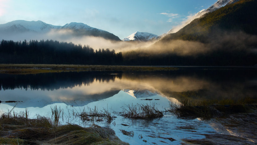Foggy morning in the Great Bear Rainforest of British Columbia. (MyLoupe/UIG via Getty Images)