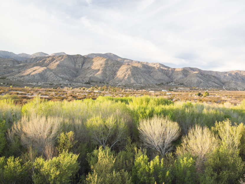 The Sand to Snow National Monument is one of three California areas designated as national monuments on Friday. Together they protect nearly 1.8 million acres of public lands. (Bob Wick/Bureau of Land Management)