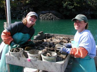 Brenda Bryan, left, and Jackie Whitmore clean shellfish at the Moss Island Oyster Farm in Peterson Bay across from Homer. (Photo by Ron Bader/Moss Island Oyster Farm)