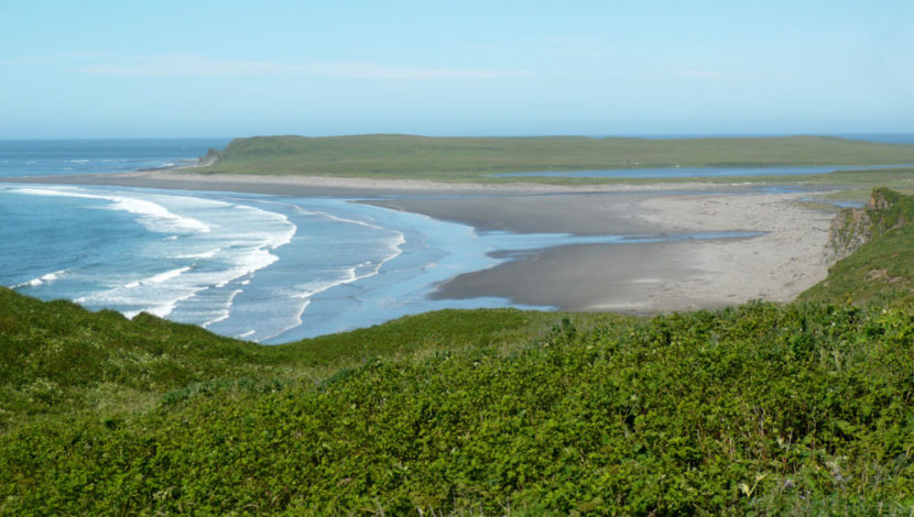 Anchorage Beach on Chirikof Island looking west. (Public Domain photo by USGS)