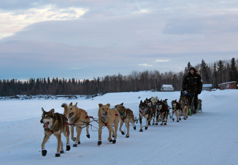 Dallas Seavey in McGrath on Iditarod trail