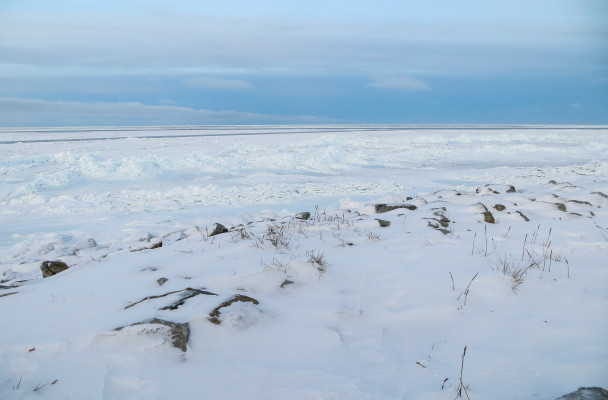 Shishmaref Sea Ice. (Photo by Maddie Winchester/KNOM)