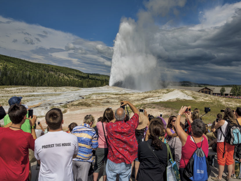 Almost like clockwork, every 60 to 110 minutes, Old Faithful shoots out a jet of steam and hot water up to 184 feet high. In summer the nearby parking lot fills and empties at about the same pace. Yellowstone Superintendent Dan Wenk says, "One of the great fears of every superintendent of Yellowstone is that Old Faithful will stop erupting when they're superintendent." Michael Nichols/National Geographic The colors of Yellowstone's Grand Prismatic Spring come from microbes called thermophiles, which thrive in scalding water. The green is chlorophyll the thermophiles use to absorb sunlight. Michael Nichols/National Geographic	 A grizzly bear fends off ravens from a bison carcass in Grand Teton National Park. Charlie Hamilton James/National Geographic	 Park Service biologist Doug Smith races toward a gray wolf that he shot from the air with a tranquilizer dart. Before it awakens, he'll give it a quick physical exam and fit it with a radio collar. Wolves are now thriving in Yellowstone, but researchers monitor them closely. David Guttenfelder/National Geographic	 Yellowstone bison set the pace of traffic over the Highway 89 bridge in Gardiner, Mont., on the park's northern border. Winter pushes the bison out of the park to lower elevations in search of food, a migration that comes into conflict with agriculture and development. Michael Nichols/National Geographic	 What wilderness means to people has steadily changed since Yellowstone was founded. The Park Service no longer tries to make tame spectacles of wild animals. But today, as in 1972 when this photo was taken, most visitors to the park never get far from the road and a black bear is still a reason to pull over. Jonathan Blair/National Geographic Creative	 A lone member of the Phantom Springs wolf pack stands tall in Grand Teton National Park. Charlie Hamilton James/National Geographic	 A state wildlife manager in Cody, Wyo., checks on a problem grizzly that's been tranquilized so it can be relocated away from people. Wyoming and other states around Yellowstone argue that grizzlies have recovered enough for trophy hunting to be allowed. David Guttenfelder/National Geographic 