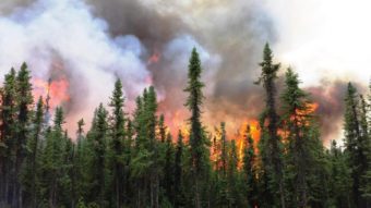 Aggie Creek Fire wildfire, July 7, 2015
