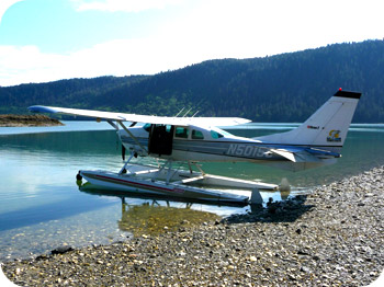 A photo of a Cessna 206 from Sunrise Aviation's website.