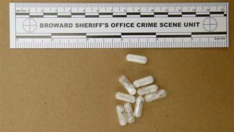 Vials of a confiscated synthetic amphetamine called flakka that killed 61 people in Broward County in a little more than a year. States have been reworking drug laws to make it easier to classify synthetic drugs as illegal. AP
