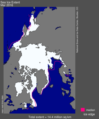Arctic sea ice extent for March 2016 was 14.43 million square kilometers (5.57 million square miles). The magenta line shows the 1981 to 2010 median extent for that month. (image courtesy of the National Snow & Ice Data Center)