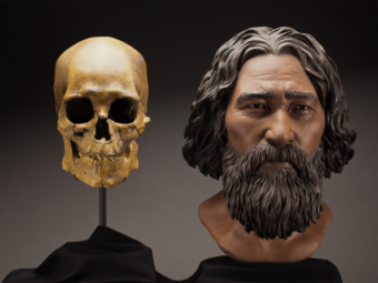 A reconstruction of Kennewick Man sculpted to resemble the Ainu people of Japan, considered by some at the time to be his closest living relatives. Now, a link to Native Americans has been confirmed. Brittney Tatchell/Smithsonian Institute