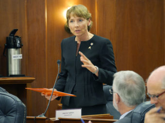 Sen. Cathy Giessel, R-Anchorage, addresses the Alaska Senate in favor of passing House Bill 11, an act that would make certain criminal records unavailable on the internet, Jan. 27, 2016. (Photo by Skip Gray/360 North)