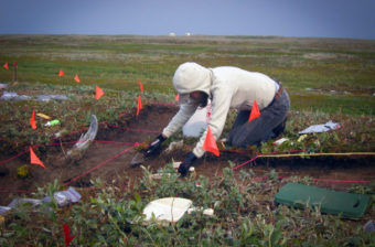 An excavator works at what was once an ancient settlement at Cape Espenberg. (Photo courtesy of Bering Land Bridge National Preserve)