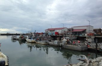 Fishing vessels at the Nome harbor. (Photo Matthew Smith/KNOM)