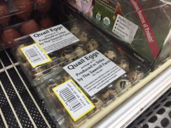 Seamart Quality Foods, where Daniels collects her produce, now sells her product. The quail and ducks eggs will soon be joined by chicken eggs. (Emily Kwong, KCAW – Sitka)