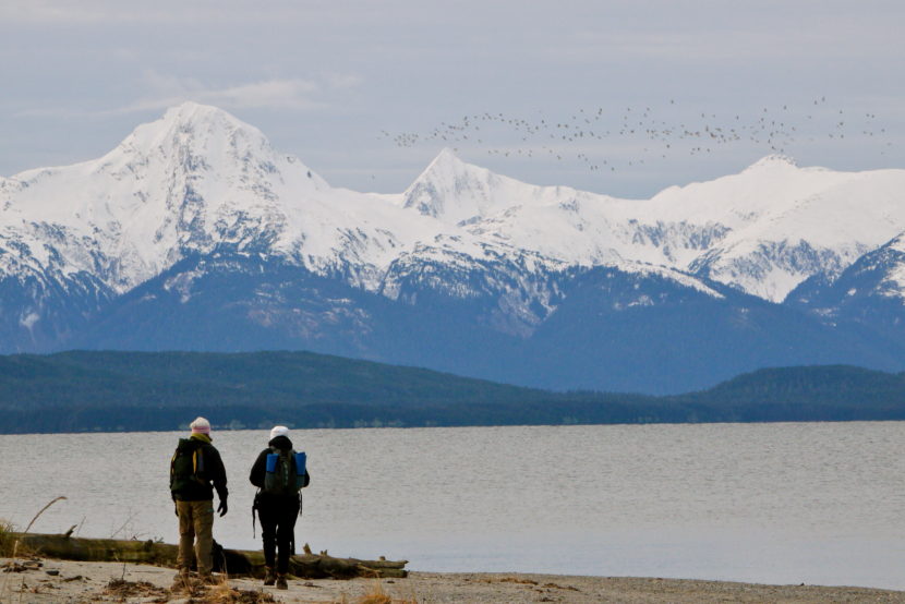 Chilkat Range from Eagle Beach