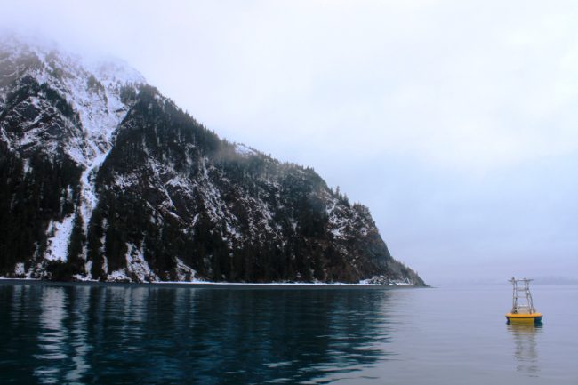 A buoy in Seward's Resurrection Bay measures ocean acidification parameters every three hours. (Photo courtesy Alaska Ocean Acidification Research Center)