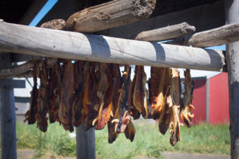 Salmon drying in Stebbins. (Photo by Emily Russell/KNOM)
