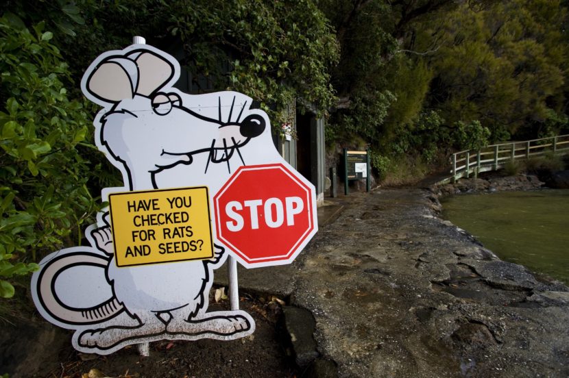 At Ulva Island Bird Sanctuary on Stewart Island, New Zealand, a sign warned visitors in 2008 to check their bags. The fight against invasive predators continues. (Photo by Wolfgang Kaehler/LightRocket via Getty Images)
