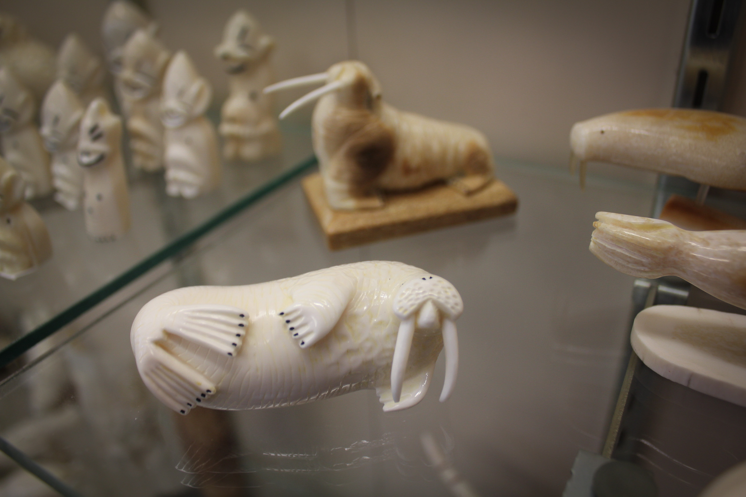 New California law could jeopardize Alaska’s ivory market