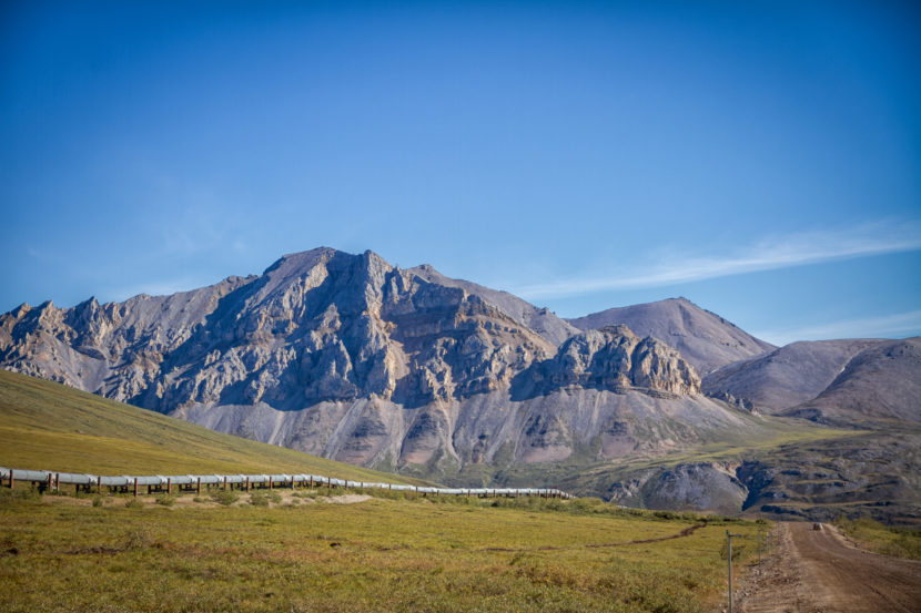 The Trans Alaska Pipeline System, or TAPS, carries oil from Alaska's North Slope to the rest of the state, shown here running along the Dalton Highway. Oil prices have rebounded slightly in the last few weeks, analysts say that won't mean much for Alaska's bottom line. (Photo by Lindsay Ohlert/Creative Commons)
