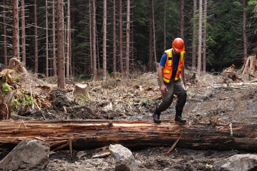 In 2014, the U.S. Forest Service repaired streams on Kuiu Island damaged by logging in the 1970s. Now, 23 million board feet could be harvested on the north part of the island. (Photo by Elizabeth Jenkins/KTOO) 