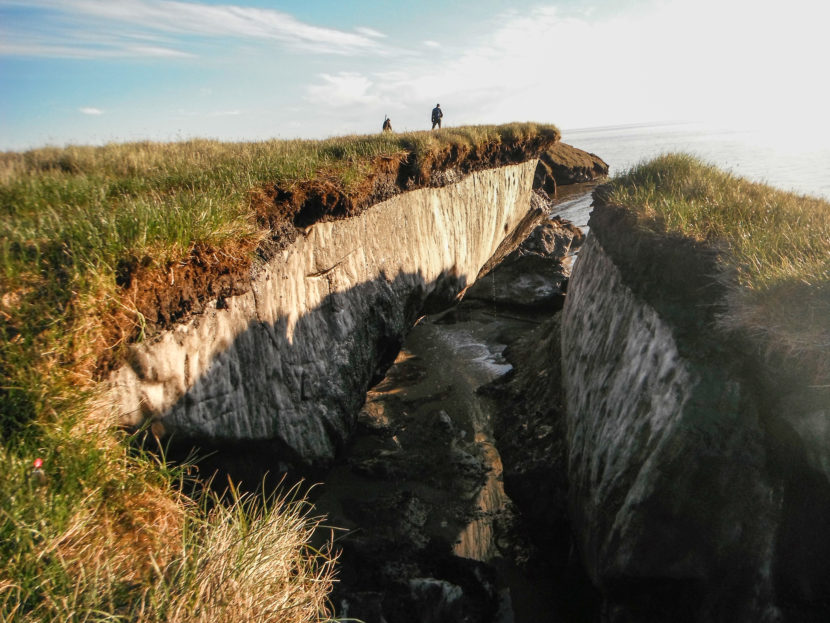 Coastal erosion reveals the extent of ice-rich permafrost underlying active layer in the Teshekpuk Lake special area of Alaska's National Petroleum Reserve . (Photo: Brandt Meixell/USGS)