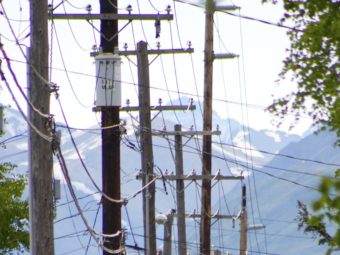 Power poles in Anchorage in June 2010.