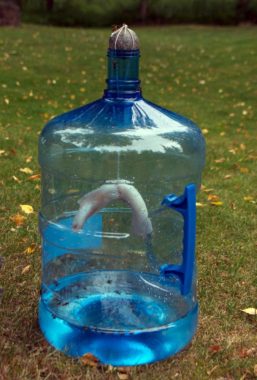 Erin and Harry Lockwood made a wasp trap out of a water cooler jug. (Photo by Jenny Neyman/KBBI)