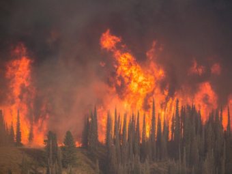 The Pioneer Fire has been burning in Idaho since July, and hot, dry weather caused the fire to grow rapidly this week. (National Forest Service)