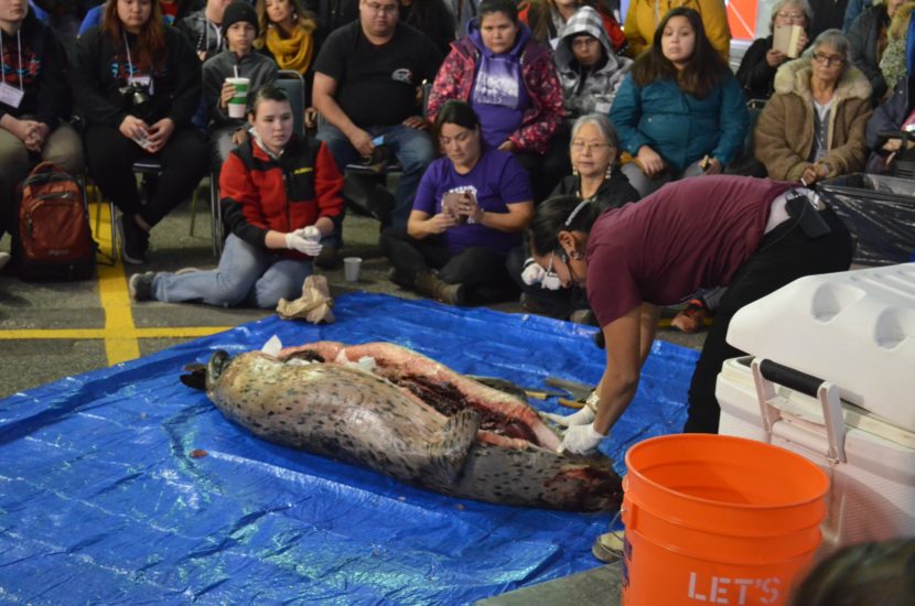 Marjorie Tahbone shows a crowd how to properly butcher a seal during a workshop at the 33rd annual Elders and Youth conference in Fairbanks. (Photo by Jennifer Canfield)