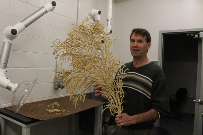 Bob Stone holds a 50 year old red tree coral. (Photo by Elizabeth Jenkins/KTOO)