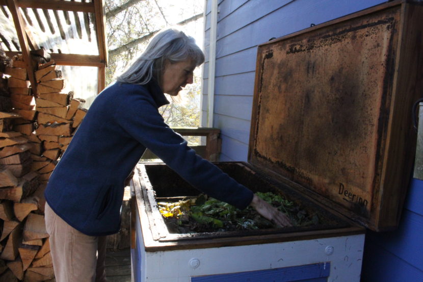 Ann Dombkowski calls her bin the "worm yacht." (Photo by Elizabeth Jenkins/KTOO)