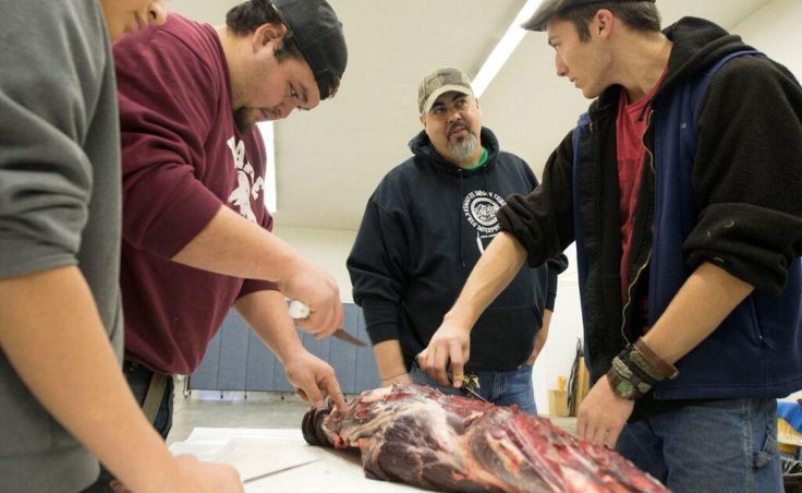 Andrew Wilson, his brother Jonny, and Gideon Collover, right, get direction from Yaghanen Youth Program Coordinator Michael Bernard as they process the moose that came to campers last weekend in October 2016. (Photo by Scott Moon/Kenaitze Indian Tribe)