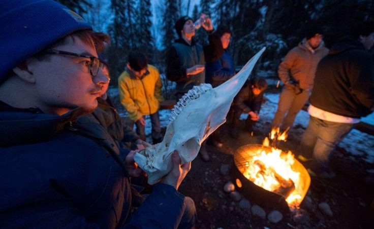 Youth Advocate Yuzhun Evanoff looks at a preserved moose skull while learning about moose with campers around a campfire at their Spirit Lake Camp in October 2016. (Photo by Scott Moon/Kenaitze Indian Tribe)